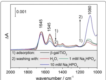 Fig. 3  Enzymatic activity of β-gal in McIlvaine’s buffer both in the 