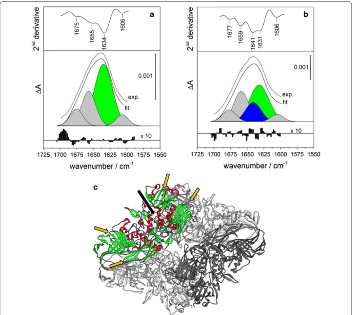 Fig. 5  Second derivative of the amide I band, fitting results and corresponding residuals for a free β-gal in  D 2 O ([β-gal] = 150 µg mL −1 ) and b 