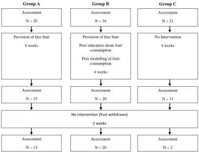 Figure 1. Study design and participation attrition. 