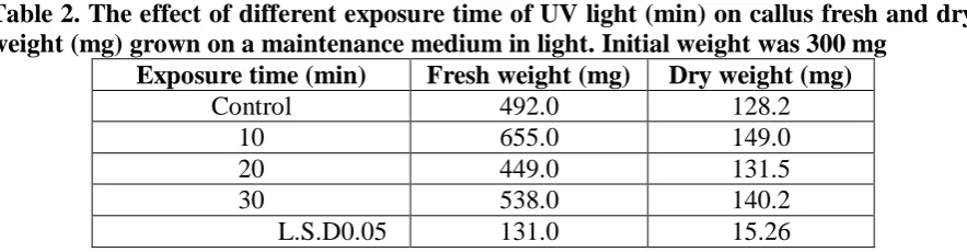 Table 2. The effect of different exposure time of UV light (min) on callus fresh and dry weight (mg) grown on a maintenance medium in light