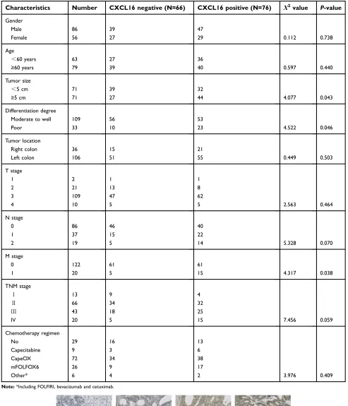 Table 1 Correlations between CXCL16 expression and clinicopathological features