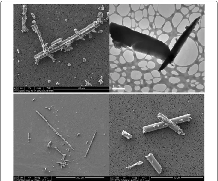 Fig. 2  Example SEM and TEM images of the released particles following the rupture of CFRP cables in the tensile strength test