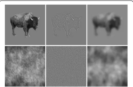 Figure 1 Sample stimuli. Columns show unfiltered, high-pass filtered,and low-pass filtered images