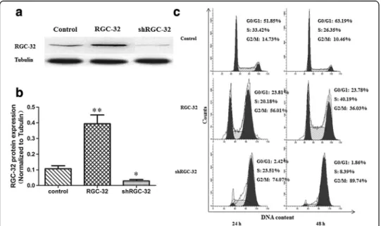Fig. 2 The expression of RGC-32 has an impact on cell cycle distribution. a – NRK-52E cells overexpressing RGC-32 or with silenced RGC-32 were constructed via transient transfection of RGC-32 expression plasmid and RGC-32 siRNA plasmid