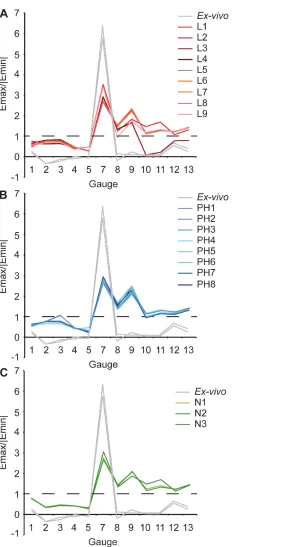 Figure 5 Strain ratios of ex-vivo experiment and finite element models. Material properties from (A)the literature; (B) posthoc testing; (C) nanoindentation