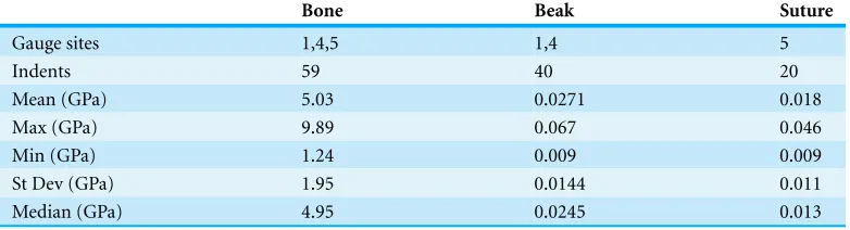 Table 2 Young’s modulus (E) of various materials on an ostrich skull obtained by nanoindentaion(see text and Fig