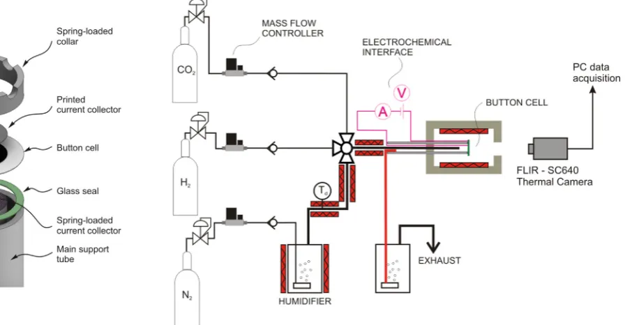 Fig. 1. Cell assembly.