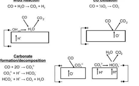 Fig. 4Proposed reaction mechanisms at the electrode surface.