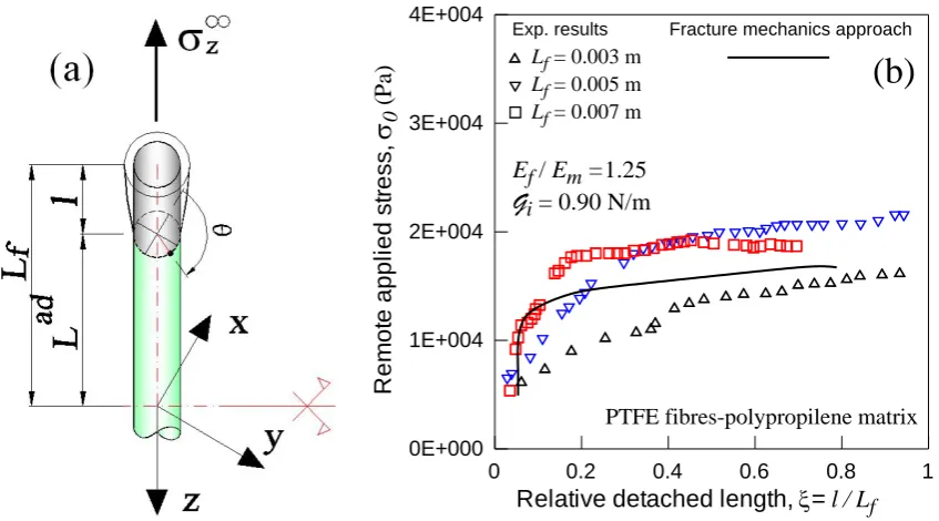 Figure 3.  Partially debonded fiber, corresponding to a 3D fracture mechanics problem, under remote 