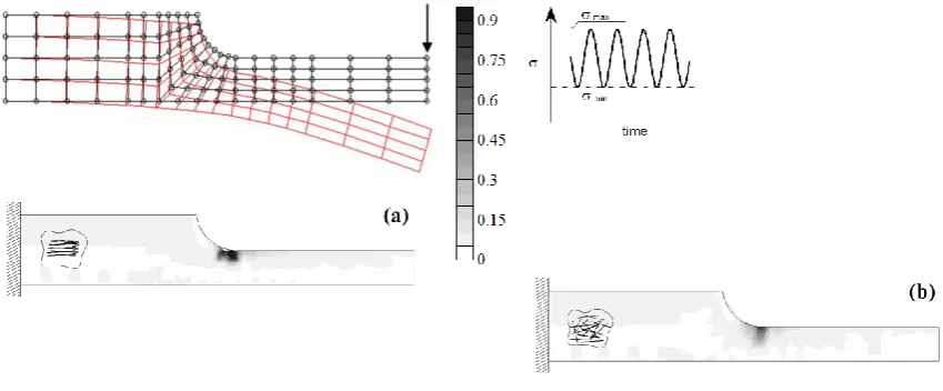 Figure 4. Maps of the dimensionless debonded length 