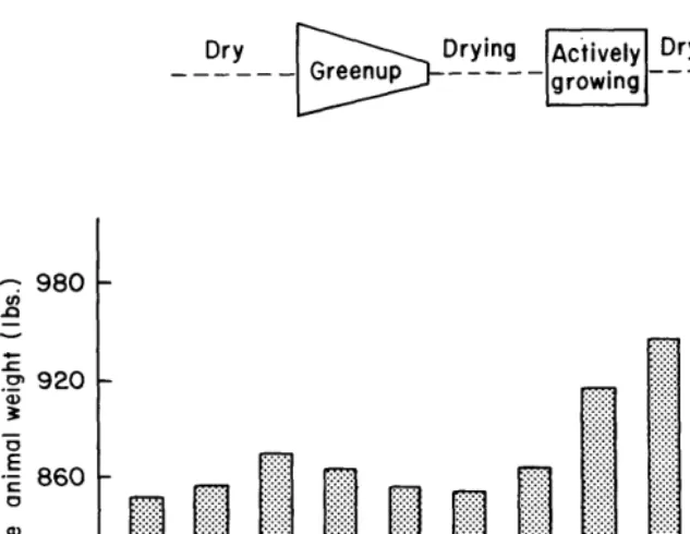 Fig. 2. Average monthly weights of cows in relation to forage growth and calving cycles