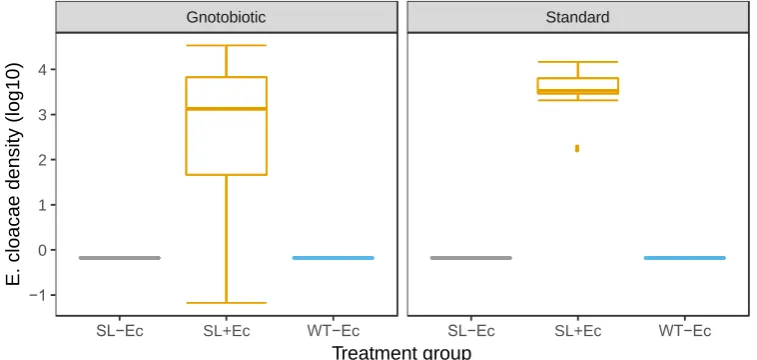 Figure 1. Culturable bacterial densities in inoculated (SL+Ec) and symbiont free treatment groups (-Ec) under gnotobiotic and standard conditions