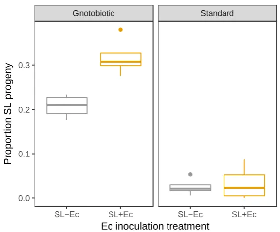 Figure 4. The impact of rearing regime and inoculation with E. cloacae gut bacteria on male fitness in mating competition experiments
