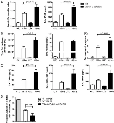 Figure 7Lung injury and in(IT)-lipopolysaccharide (LPS). Levels of tumour necrosis factor-ﬂammation was signiﬁcantly higher in vitamin D-deﬁcient mice compared with wild-type (WT) following intra-trachealα and CXCL1/KC in UTCs were below the detection threshold of the assays performed.UTC, untreated control; N.D., not detected.