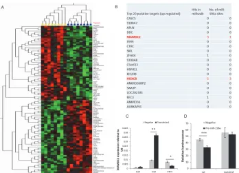Fig 6. Prediction of putative targets of miR-196a in HNSCC-derived cell lines. 6A. Microarray Heat Mapdepicting top 50 miR-196a up-regulated and down-regulated genes