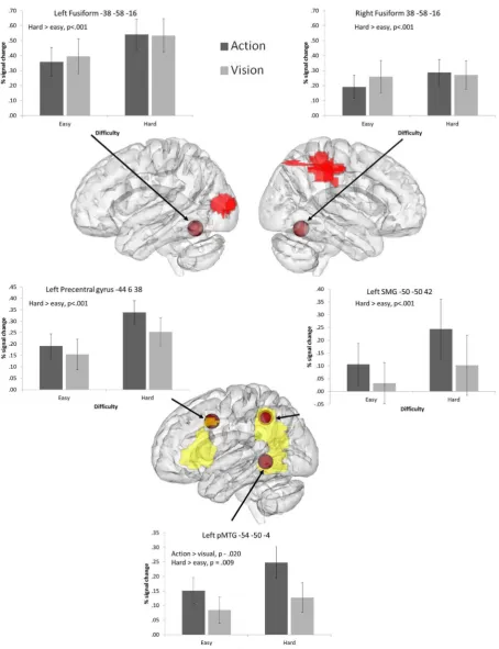 Fig. 5. 8 mm ROI spheres placed around peaks from the literature implicated in action knowledge (from Liljeström et al., 2008, Watson et al., 2013), and visual semantics fromThompson-Schill, Aguirre, D’Esposito, and Farah (1999)