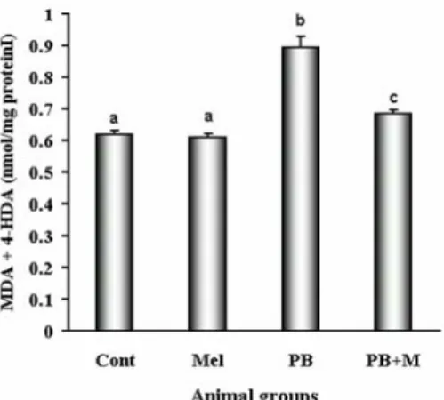 Fig. 1.  Changes in the levels of lipid peroxidation products (malondialdehyde [MDA]  and 4-hydroxyalkenals [4-HDA]) in the liver homogenates of the control and variously  treated groups of rats