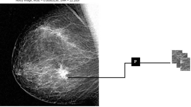 Figure 3 : Illustration of the formation of Gaussian kernels of wavelets localised in a neighbouring region of the pixel  position x,y