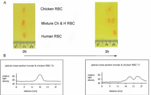 Fig. 3A shows the distribution of human and chicken RBC, and an equal mixture  of both before and after electrophoresis
