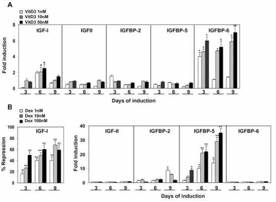 Fig. 2. The regulation of the IGF/IGFBP pattern of NIH3T3 by either 1,25(OH)2D3  or  Dexamethasone in the presence of serum