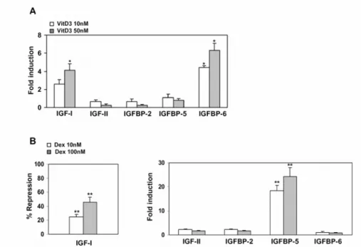 Fig. 3. Regulation of the IGF/IGFBP pattern of NIH3T3 by either 1,25(OH)2D3 or  Dexamethasone in a serum-free medium