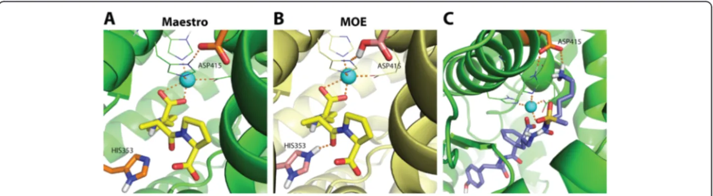 Fig. 9 Impact of the protein target preparation. Binding site of ACE (PDB code: 1UZE) prepared by Maestro (a) and MOE (b)