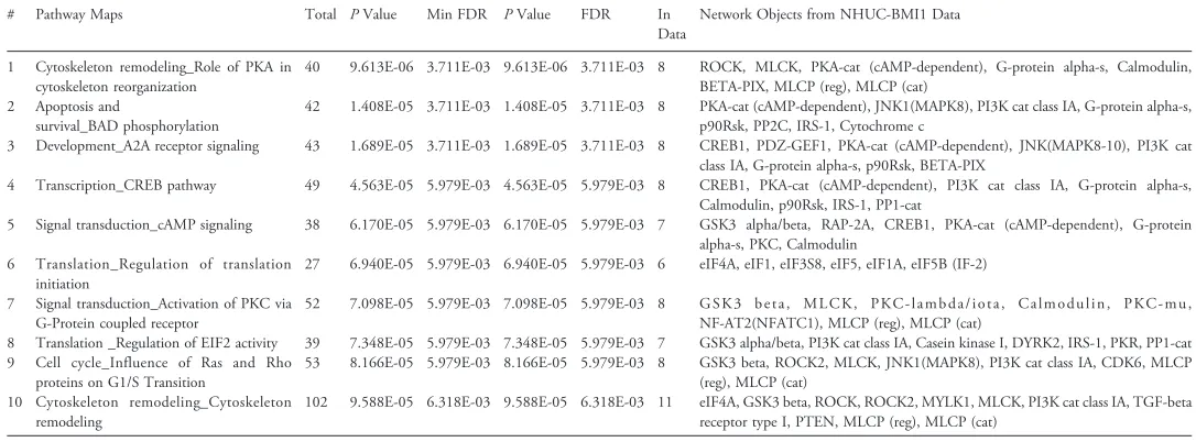 Table 4. Analysis of NHUC-BMI1 Gene List by Protein Function