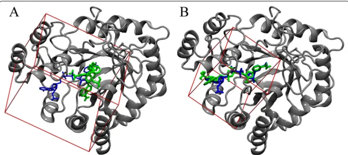 Fig. 5 Case study for molecular docking by Vina. Gray ribbons represent human aldose reductase with (a) the default and (b) the optimized docking boxes shown in red