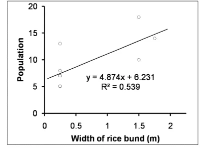 Fig. 3: Effect of rice bund width on the spider individuals. Ten complete sweeps were used to 