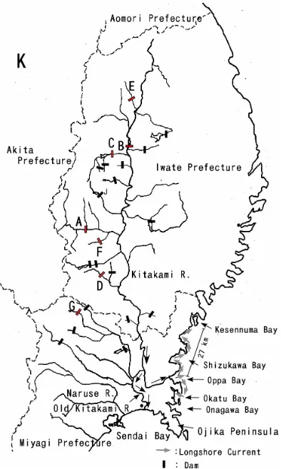 Figure 3. Relationship between dam construction and red tide occurrences in Kesennuma Bay