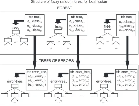 Fig. 2. Classiﬁcation using local fusion.