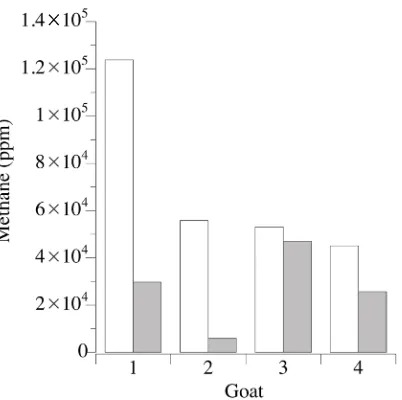 Figure 2. Final methane concentration in gas produced by caprine rumen microorganisms from ground hay with bakers’ yeast control (open bars) or craft yeast treatment (filled bars) on a per animal basis