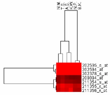 Fig. 1. The hierarchical clustering grouping the patients’ results (cluster). 