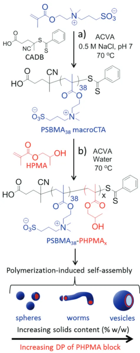 Fig. 1(a) Synthesis of the PSBMA38 macro-CTA via RAFT aqueous solu-tion polymerization of SBMA