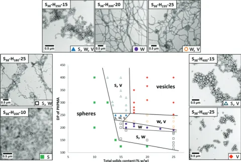 Fig. 4Detailed phase diagram constructed for the preparation of S38-Hx-Y diblock copolymer nano-objects by RAFT aqueous dispersion polymer-ization of HPMA at 70 °C (for brevity, S denotes PSBMA and H denotes PHPMA)