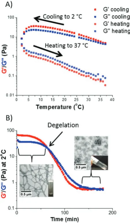 Fig. S4 in ESI†). A possible explanation for these DLS obser-