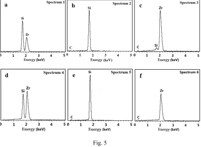 Fig. 5  