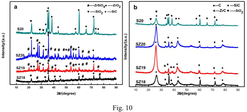 Fig. 10 