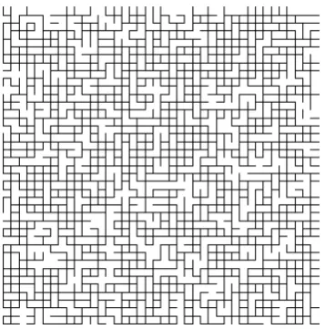 Figure 1. Bond percolation, P = 0.25.  