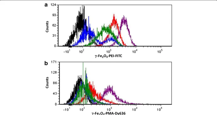 Figure 1 Cellular uptake kinetics of nanoparticle formulations (a) γ-Fe 2 O 3 -PEI-FITC and (b) γ-Fe 2 O 3 -PMA-Dy636