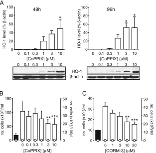 Fig. 4 HO-1 and CO inhibit proliferation in human saphenous vein