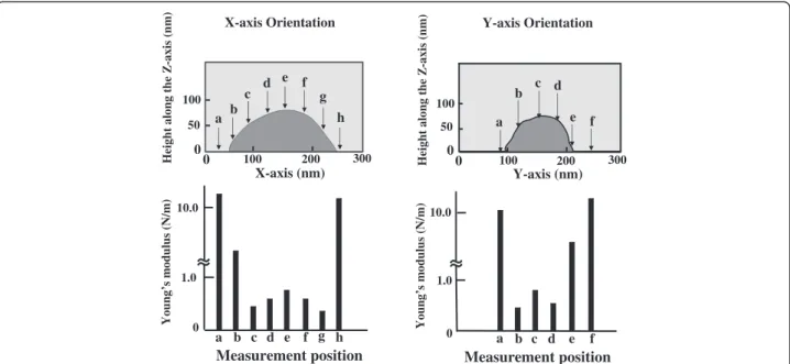 Figure 3 shows the method for determining the meas- meas-urement position with an SPM