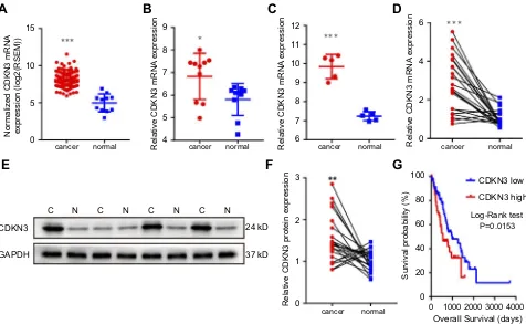 Figure 1 The association between CDKN3 overexpression and ESCA. (ESCC dataset GSE17351 (prognostic signiA–D) CDKN3 mRNA expression analysis in the TCGA dataset (A), EA dataset GSE92396 (B),C) and our cohort (D)