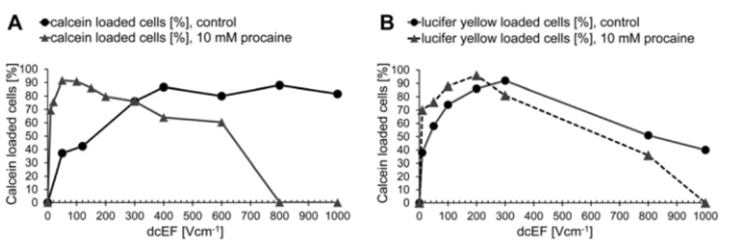 Fig. 3. The effect of procaine on AT2 prostate cancer cell loading with calcein or Lucifer  yellow following a single 0.08 s exposure to dcEF