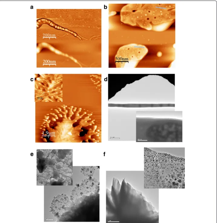 Figure 3 Second design of higher-ordered structures: Pairs of micelles III are assembled with template I and sequence II