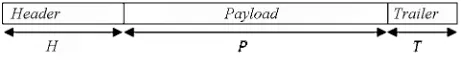 Figure 1. Link layer packet format. 