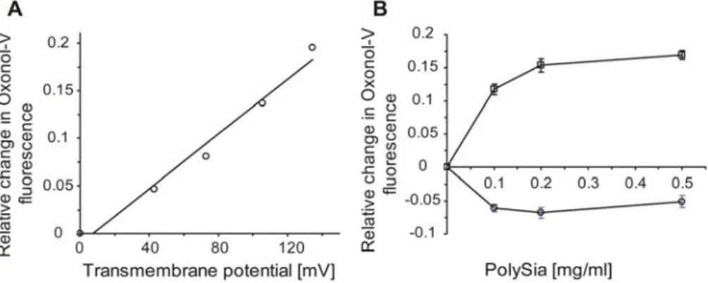 Fig. 4. Fluorescence spectroscopy using oxonol V. A – The relative change in oxonol V  fluorescence (defined as (F-F o )/F o , where F o  is the oxonol V fluorescence at zero  transmembrane potential) as a function of the transmembrane potential (positive 