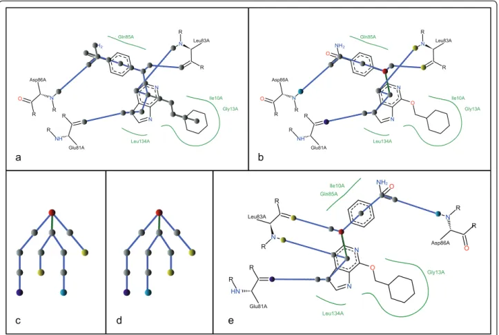 Figure 2 Complex tree generation. a) In the initial complex tree, a node is inserted for each acyclic atom, for each ring center, for each ring atom that is either an interacting atom or a substituent starting atom, and for each amino acid interaction atom