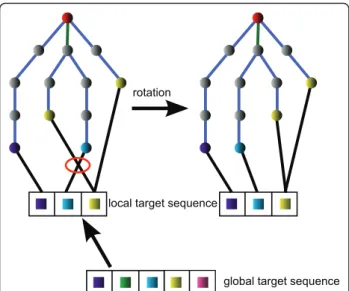Figure 3 Target sequence alignment. The global target sequence contains one entry for each residue being part of the series complex ensemble