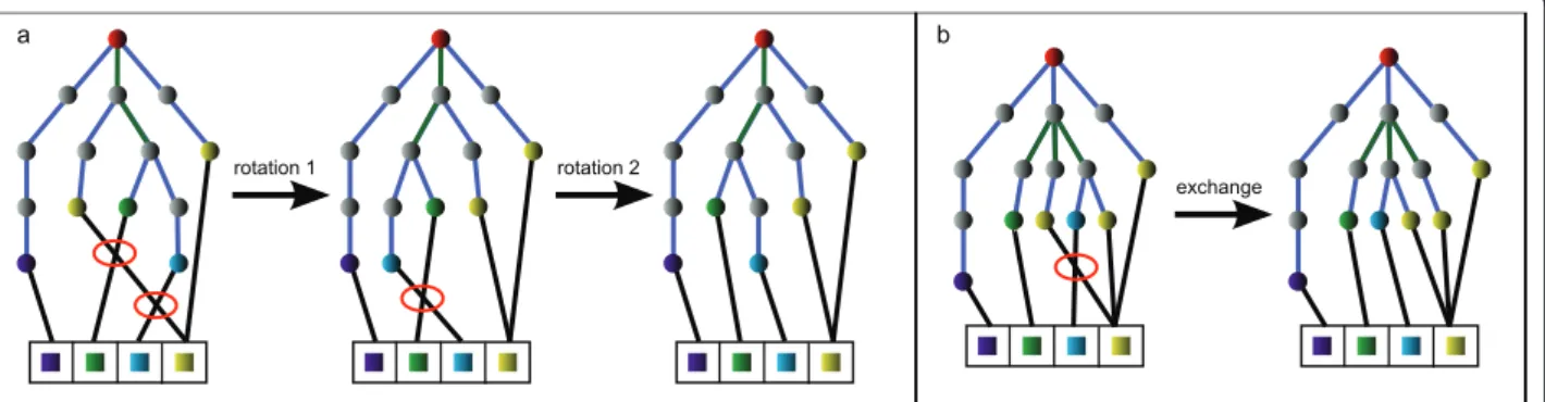 Figure 6 shows the same series like Figure 5, and the complexes are in the same order but in contrast to the
